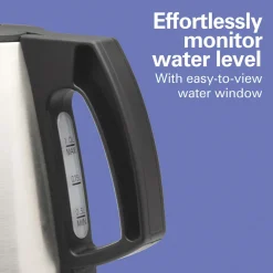 1 Liter Electric Kettle