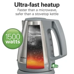 1 Liter Electric Kettle, Gray & Stainless