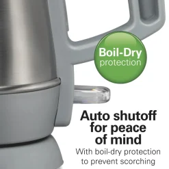 1 Liter Electric Kettle, Gray & Stainless