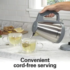 1 Liter Electric Kettle, Gray & Stainless