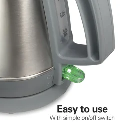 1 Liter Electric Kettle, Gray & Stainless