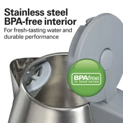 1 Liter Electric Kettle, Gray & Stainless