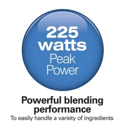 2 Speed Hand Blender