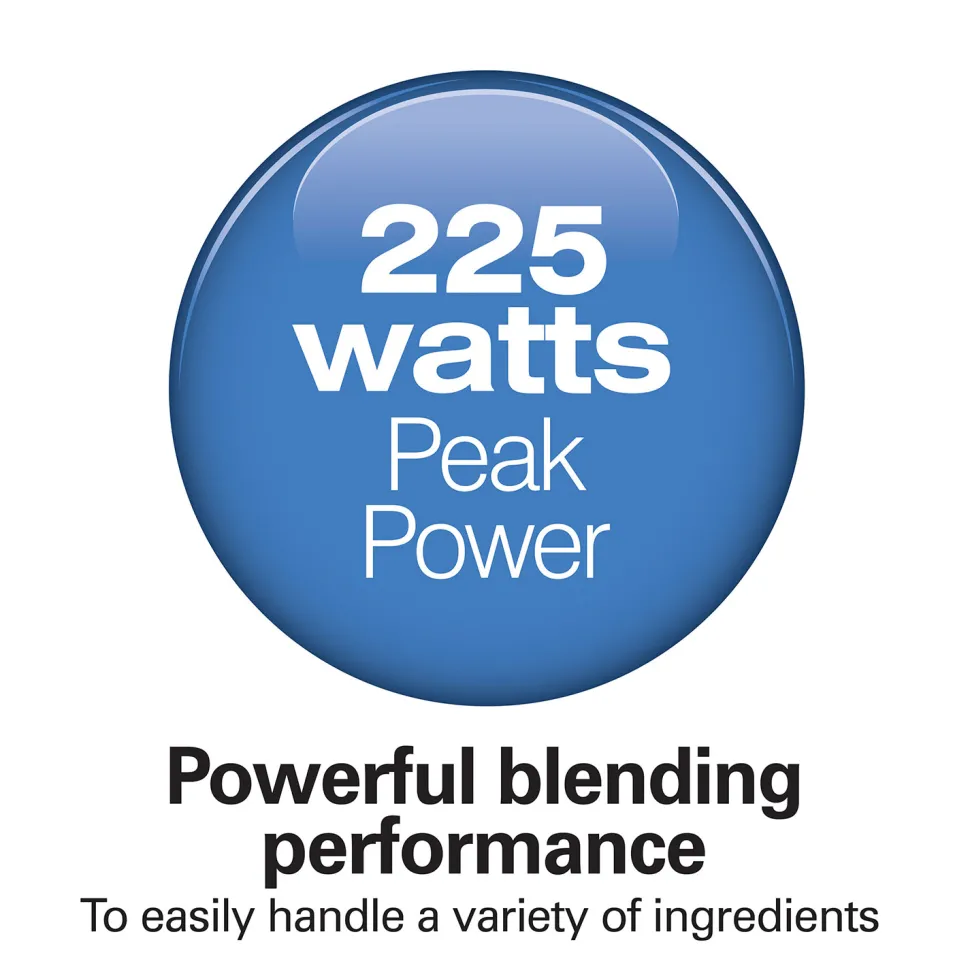 2 Speed Hand Blender