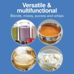 2 Speed Immersion Blender