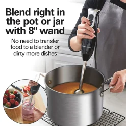 2 Speed Immersion Blender