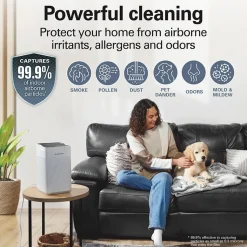Air Purifier with TrueAir® EverLasting™ Reusable Filters