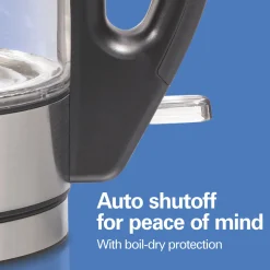 Compact 1 Liter Glass Kettle