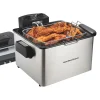 Deep Fryer, 2.8 Liter/3 Quart Oil Capacity with Adjustable Temperature & Timer