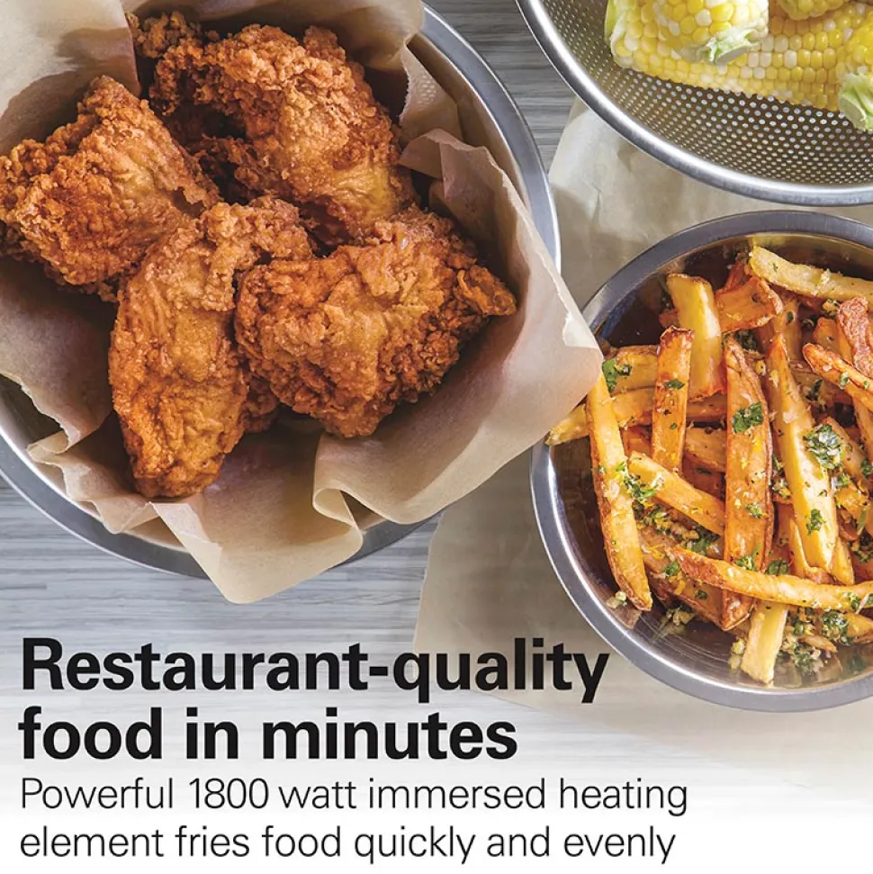 Deep Fryer, 4.5 Liters/19 Cup Oil Capacity Professional-Style with 2 Baskets