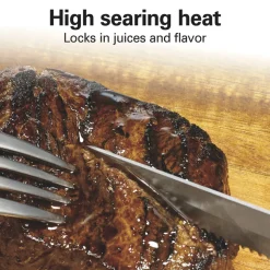 Electric Indoor Searing Grill