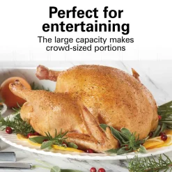 Electric Roaster Oven 22 Quarts, Stainless Steel