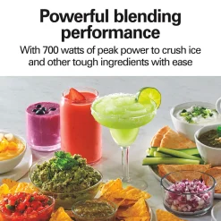 2-in-1 Blender and Food Chopper