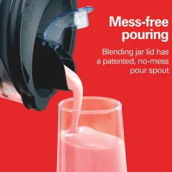 2-in-1 Blender and Food Chopper