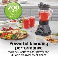 3-in-1 Blender and Food Processor