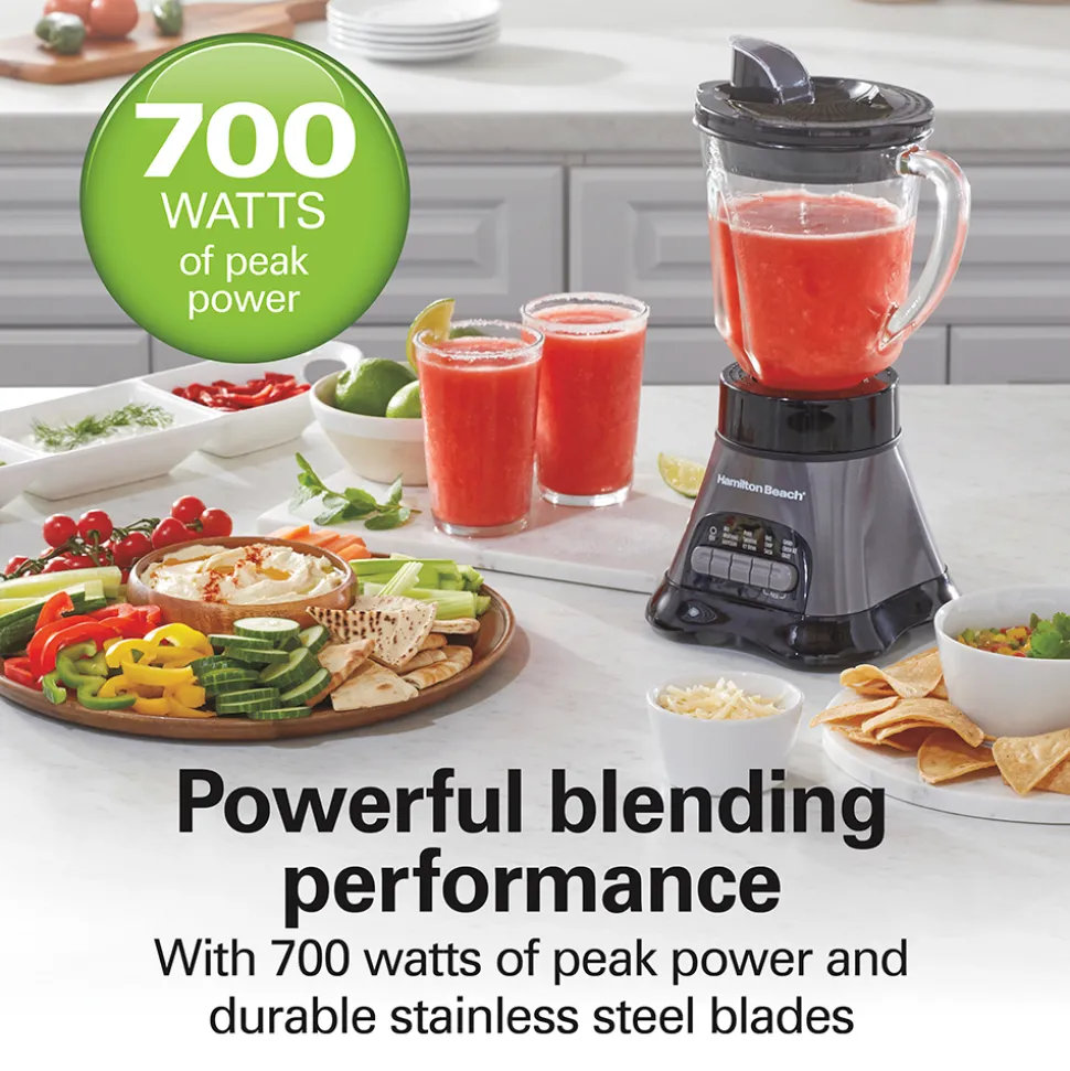 3-in-1 Blender and Food Processor