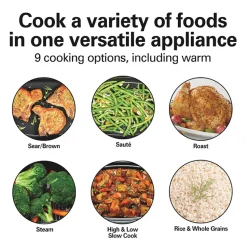 9-in-1 Searing Slow Cooker