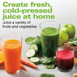 Masticating Slow Juicer