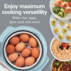 Multi-Function Rice Cooker