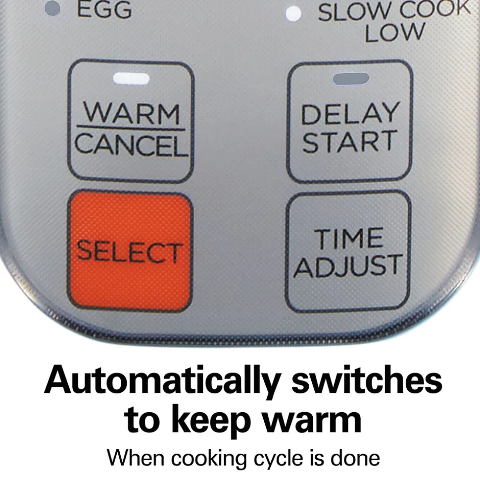 Multi-Function Rice Cooker