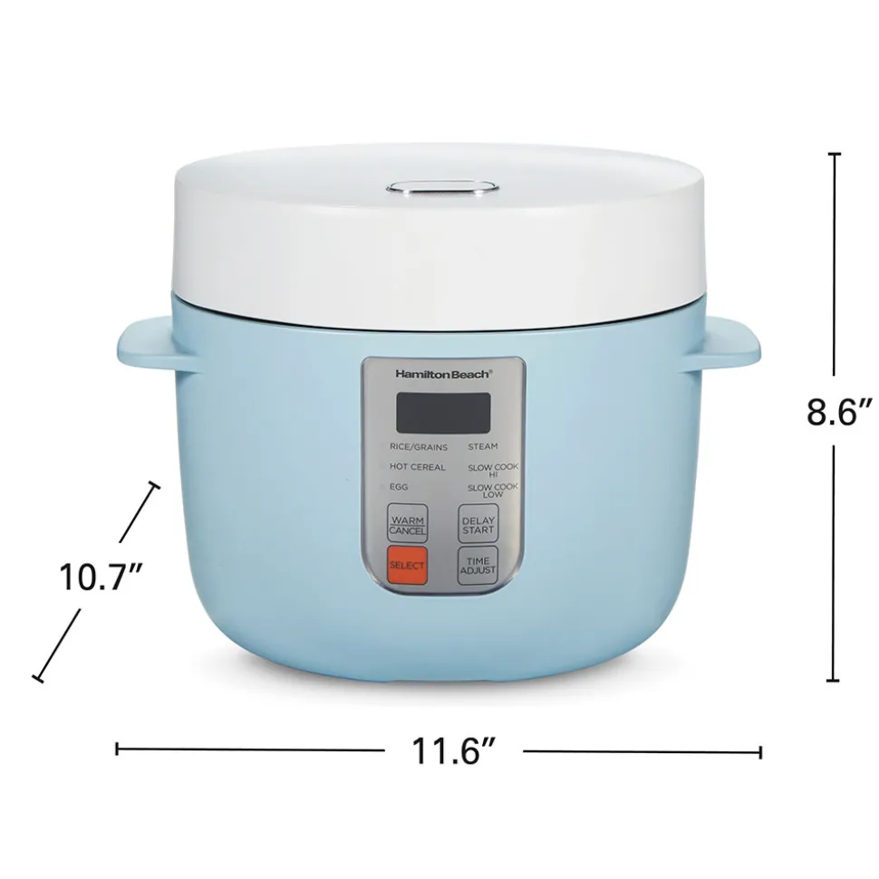 Multi-Function Rice Cooker