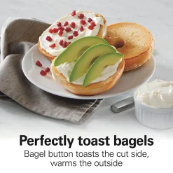 Sleek Stainless Steel 2 SliceToaster