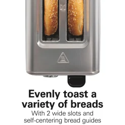 Sleek Stainless Steel 2 SliceToaster