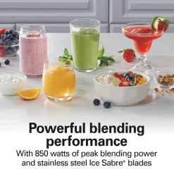 Smoothie Smart™ 40 oz. Blender with Glass Jar