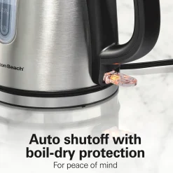 Stainless Steel Kettle