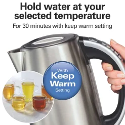 Variable Temperature Electric Kettle, Stainless Steel