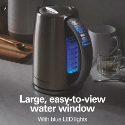 Variable Temperature Electric Kettle, Stainless Steel
