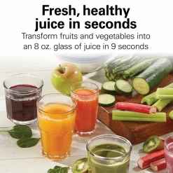 Whole Fruit Juice Extractor, Silver