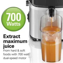 Whole Fruit Juice Extractor, Silver
